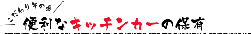 ֗ȃLb`J[ۗ̕L