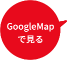 GoogleMapŌ